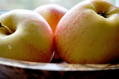 Close-up of yellow food