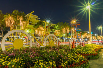 View of flowering plants at night