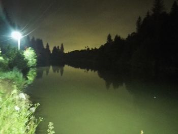 Reflection of trees in water at night