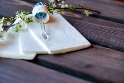 Close-up of white flower on table