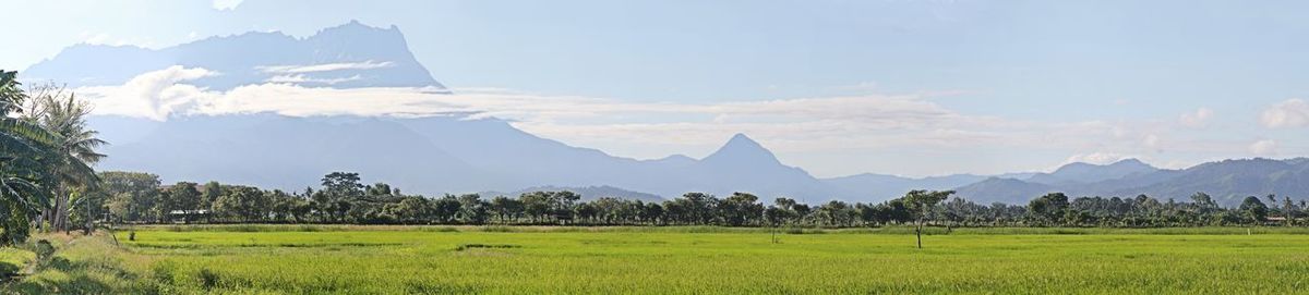 Panoramic view of landscape against sky