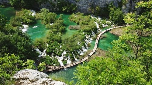 High angle view of river amidst trees in forest