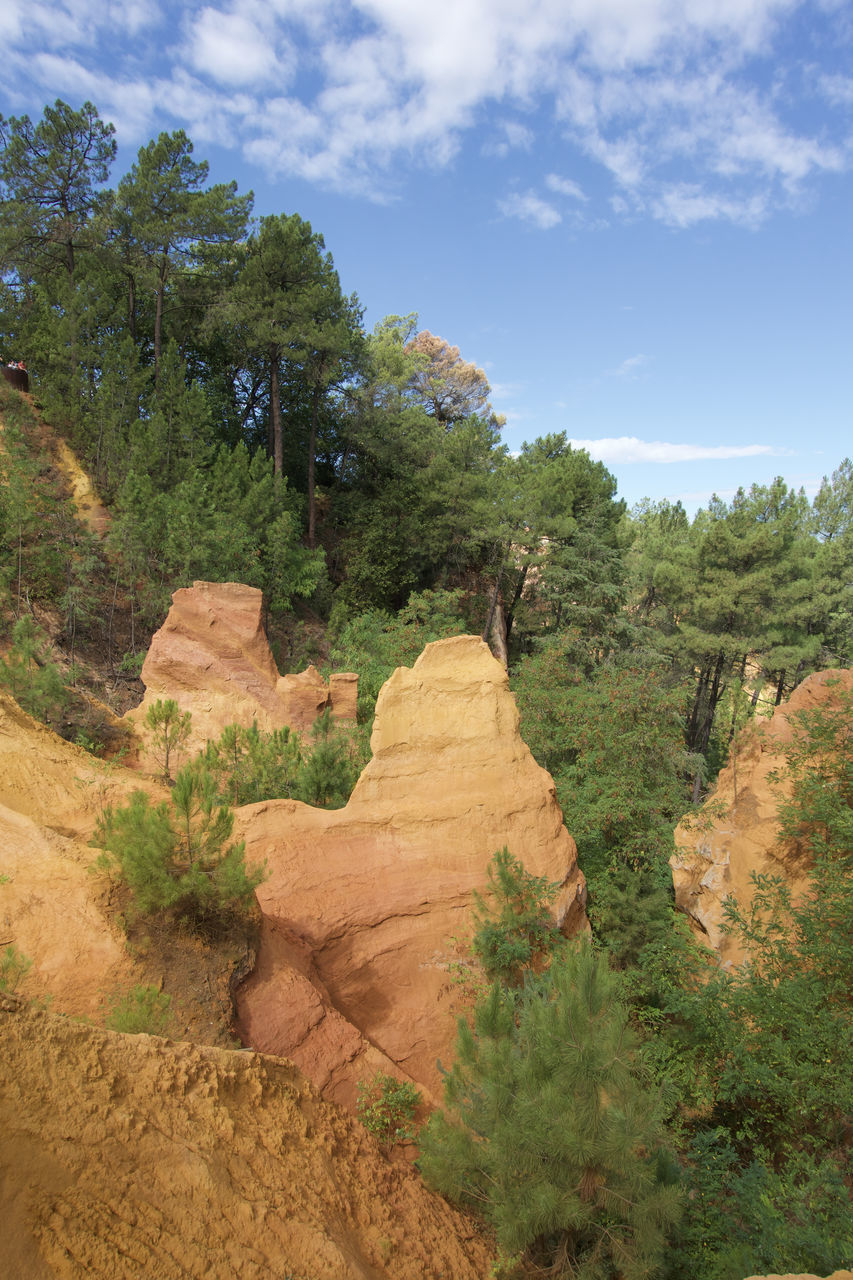 tree, plant, nature, landscape, environment, sky, scenics - nature, land, rock, beauty in nature, cloud, non-urban scene, no people, travel destinations, terrain, travel, wilderness, natural environment, soil, tranquility, rock formation, outdoors, valley, tranquil scene, day, forest, tourism, mountain, cliff, geology, pine tree, semi-arid, pinaceae, canyon, growth, coniferous tree, green, desert, physical geography