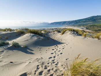 Dunes in guincho beach, cascais, portugal