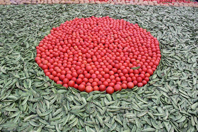 High angle view of vegetables