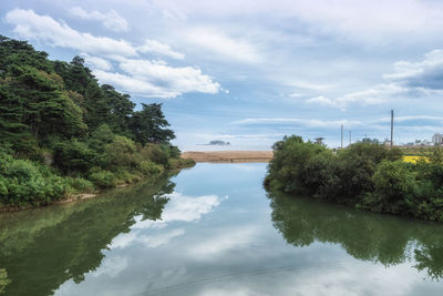 Scenic view of river amidst trees against sky