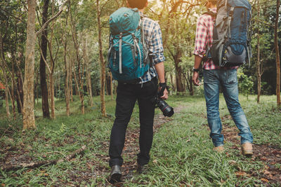 Rear view of men walking in forest