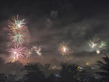 Low angle view of firework display at night