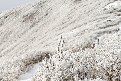 Scenic view of snow covered land