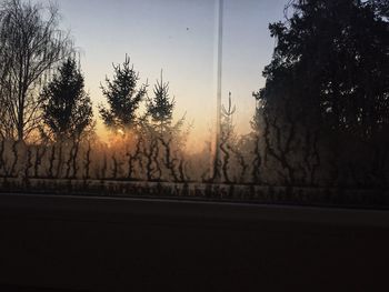 Silhouette trees against clear sky during sunset