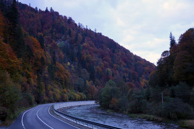 Road amidst trees against sky