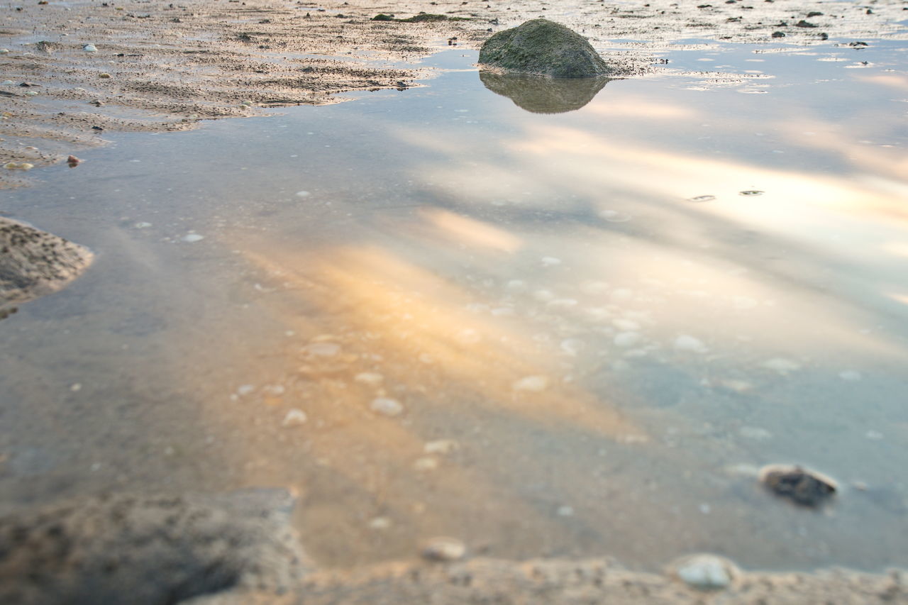 HIGH ANGLE VIEW OF REFLECTION ON PUDDLE