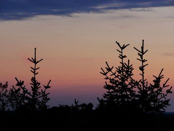 Low angle view of silhouette tree against sky at sunset