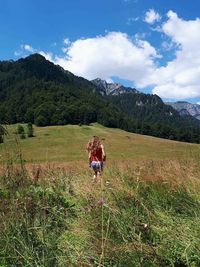 Horse standing in a field