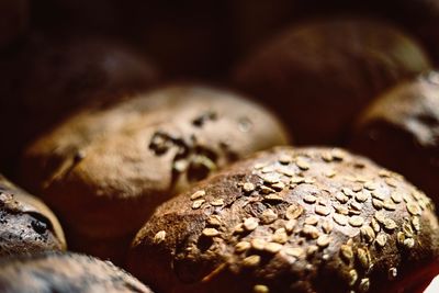 Close-up of breads