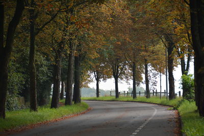 View of road amidst autumn trees