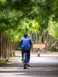 Rear view of man riding bicycle on road