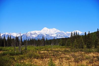 Scenic view of mountains against clear blue sky