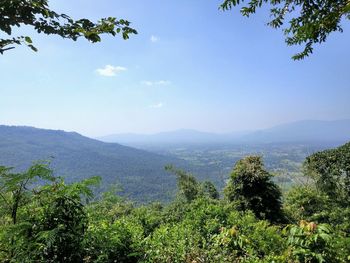 Scenic view of landscape against clear sky