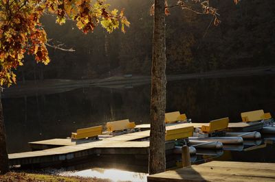 Lake and trees during autumn