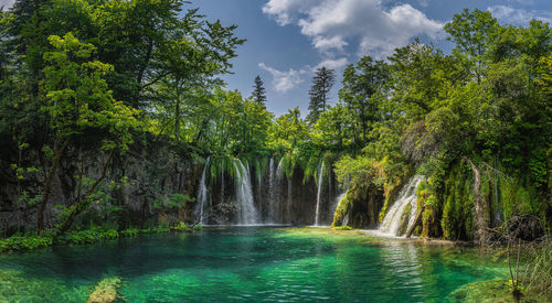 Scenic view of waterfall against trees in forest