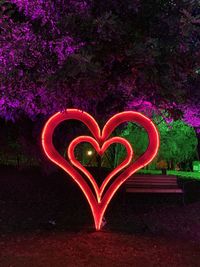 Heart shape on pink flower tree at night