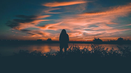 Silhouette plants by lake against orange sky