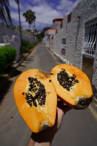 Close-up of hand holding orange fruit