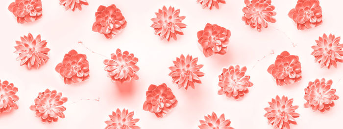 High angle view of pink petals on white background