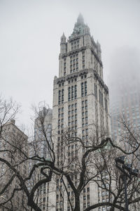 Low angle view of building and tree against sky