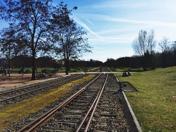 Railroad track passing through forest