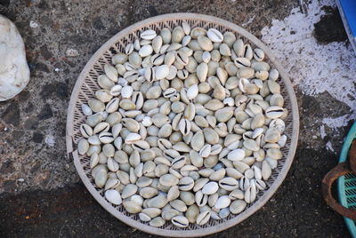 High angle view of calcium carbonate stones in bowl