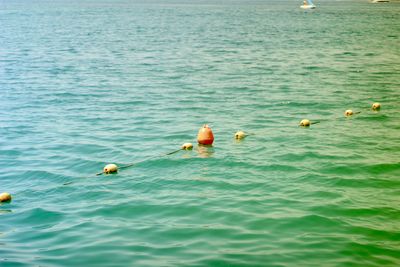 High angle view of woman swimming in sea