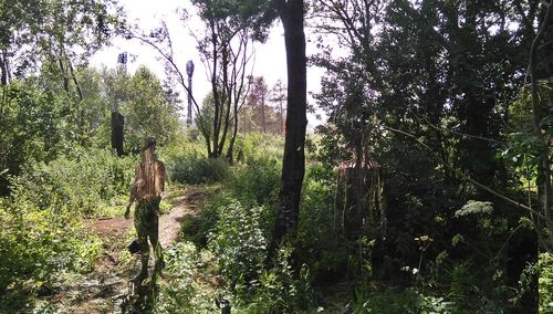 Statue amidst trees in forest against sky