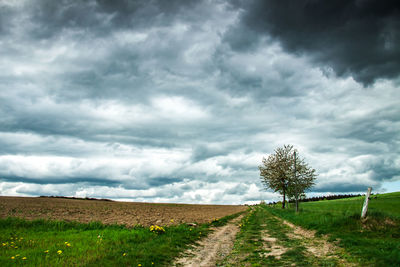 Dirt road amidst field against sky