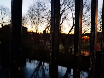 View of bare trees through window during winter