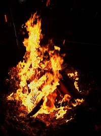 Close-up of bonfire at night