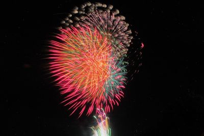 Low angle view of firework display against sky at night