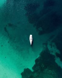 View of fish underwater