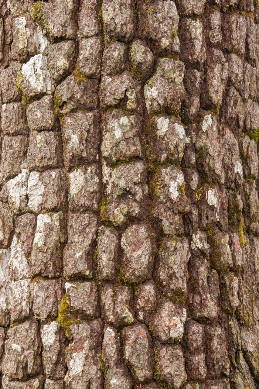 FULL FRAME SHOT OF STONE WALL WITH BRICK WALLS