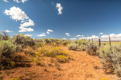 Dirt road amidst plants on field against sky