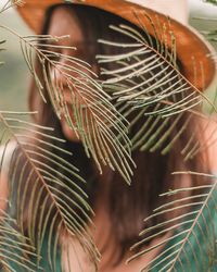 Close-up of plant