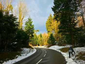 Rear view of person on road in winter
