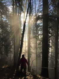 Rear view of man photographing in forest