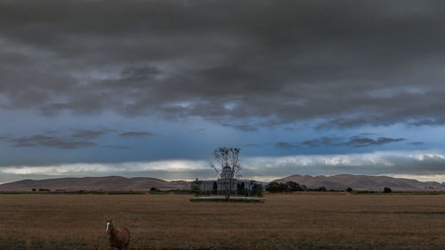 Scenic view of field against sky