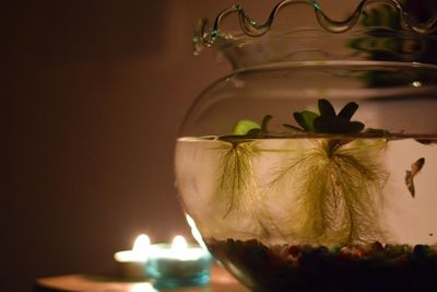 Close-up of fishbowl by illuminated candles on table