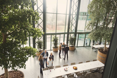 High angle view of business people discussing in groups at office