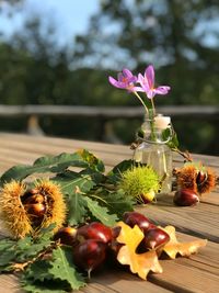 Close-up of flowers with chestnuts on wooden table