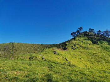 Scenic view of landscape against clear blue sky