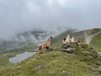 Rear view of man sitting on field